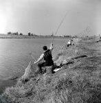 Fishing, River Welland, Spalding